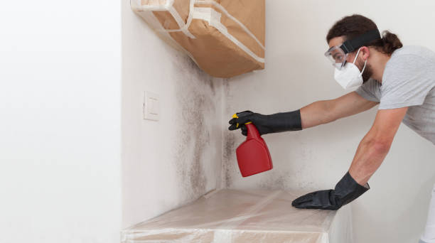 Professional Attic Mold Removal technician working in Billerica, MA