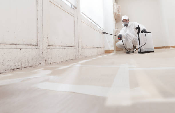 24/7 Emergency Attic Mold Removal experts in Billerica, MA