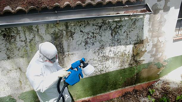 Top rated local Attic Mold Removal specialists in Billerica, MA